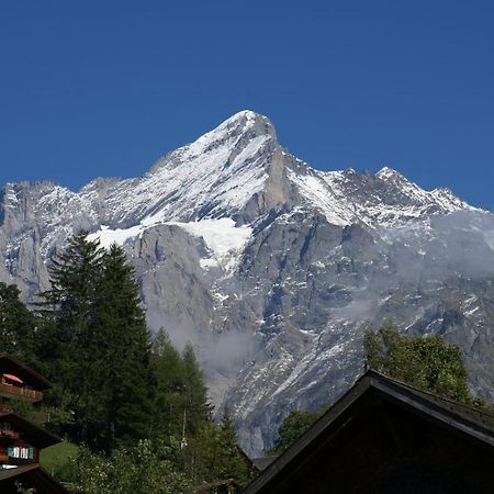 Apartment Baereggblick - Griwa Rent Ag Grindelwald Eksteriør bilde