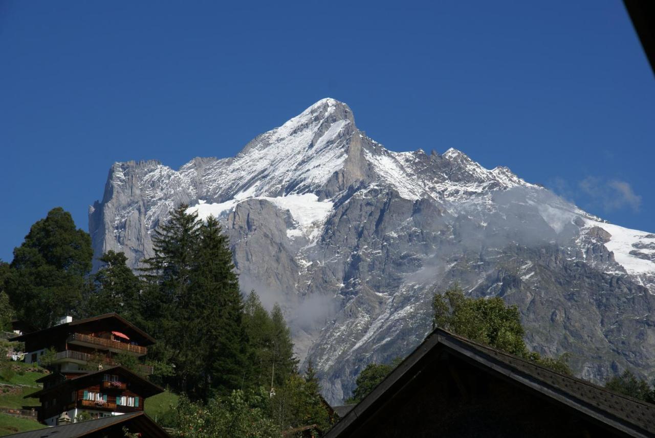 Apartment Baereggblick - Griwa Rent Ag Grindelwald Eksteriør bilde